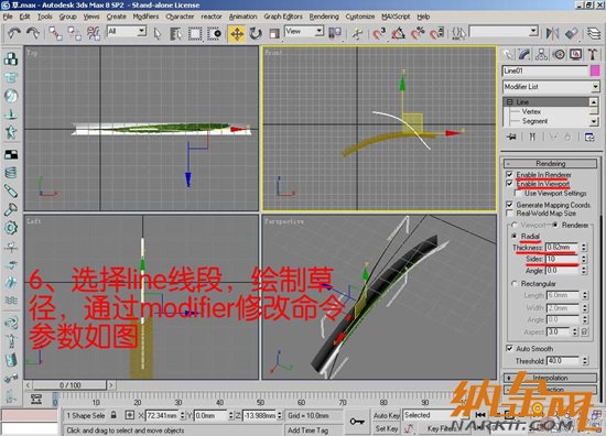 3DMAX打造狗尾巴草