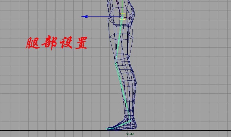 中高級骨骼綁定maya教程