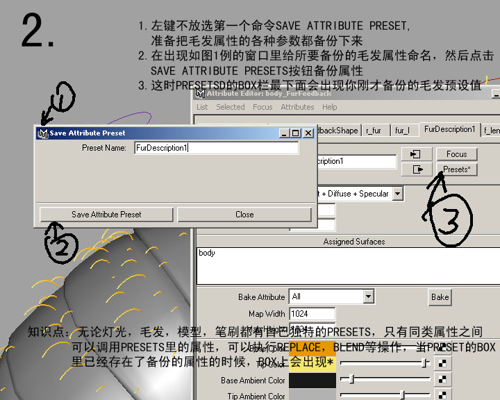 maya教程：MAYA的FUR教材-蜜蜂體毛的制作