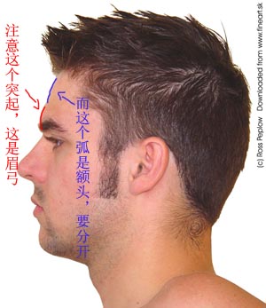 MAYA人體建模常見(jiàn)問(wèn)題分析 納金網(wǎng)